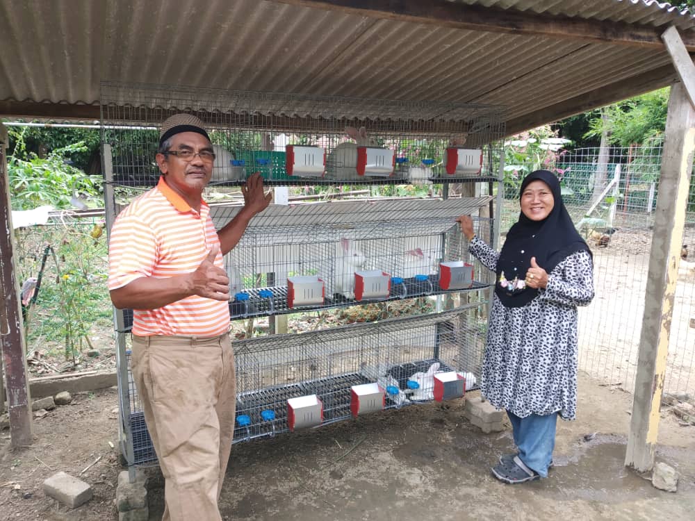 Raising meat rabbits