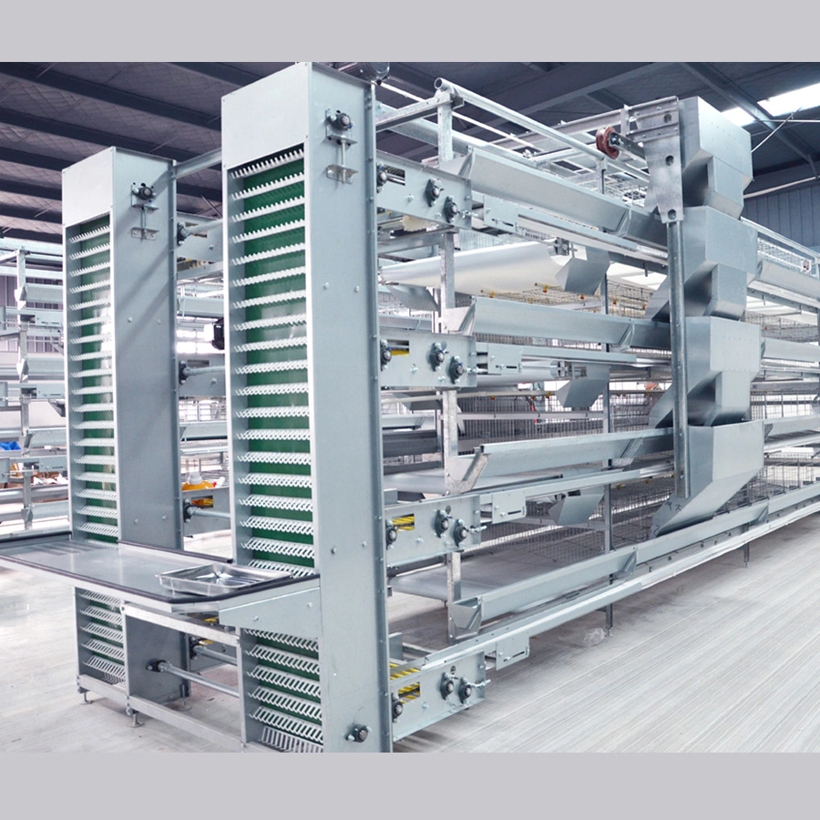 The Benefits of Automatic Poultry Equipment for Farmers