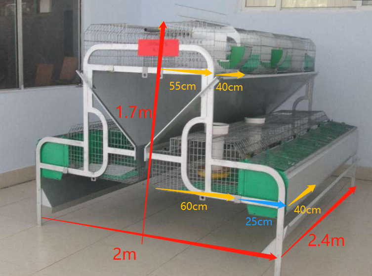 Introducing the latest rabbit farming methods and the modern equipment necessary for raising rabbits: