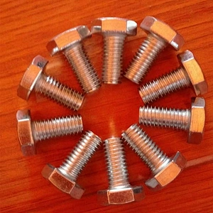 Stainless Steel Hexagon Bolt