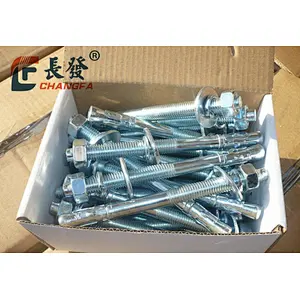 wedge anchor with nuts and bots