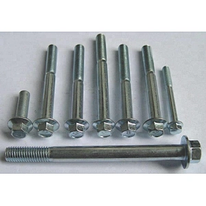 Stainless Steel Hexagon Bolt