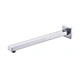shower head abs chrome