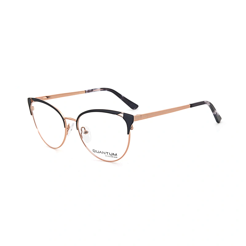 Customized Morden Full Rim Resin Frames Metal Woman Optical Eye Glasses