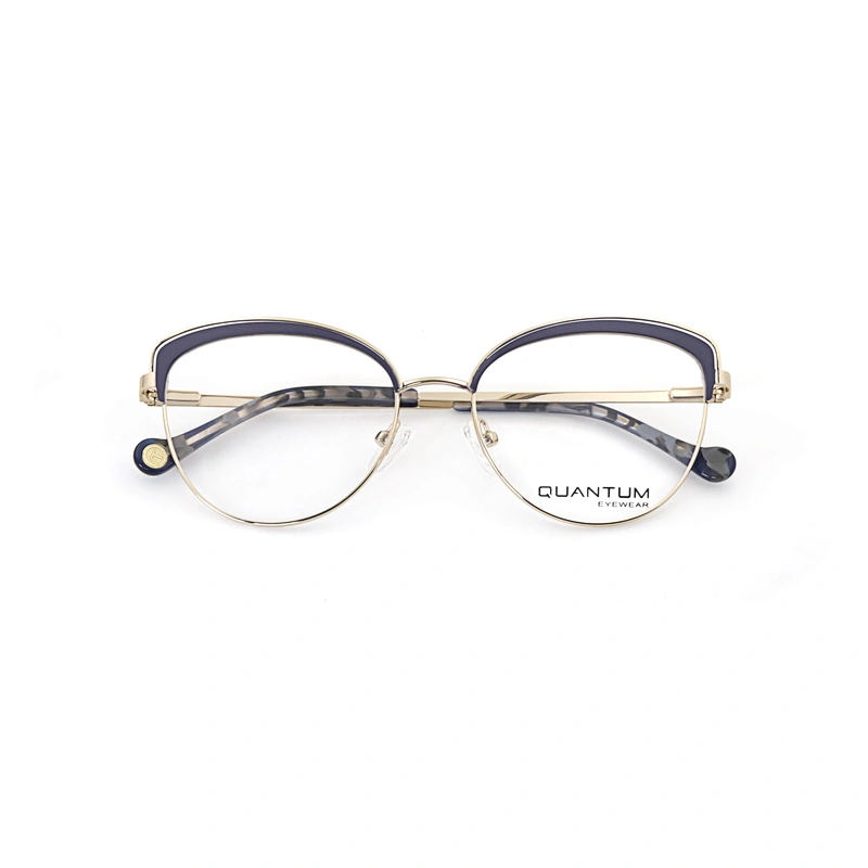 High Quality Popular Business Clear Lens Designer Optical Frames Glasses