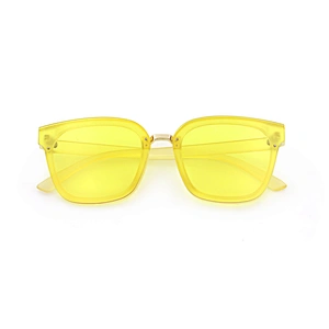 New Products Manifold Custom Wholesale Retro Pc Oversized Eco Thick Plastic Sunglasses