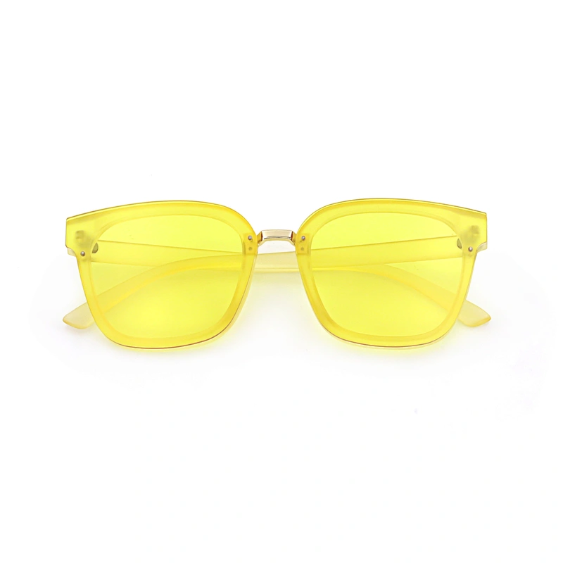New Products Manifold Custom Wholesale Retro Pc Oversized Eco Thick Plastic Sunglasses