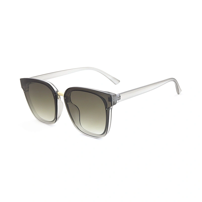 New Products Manifold Custom Wholesale Retro Pc Oversized Eco Thick Plastic Sunglasses