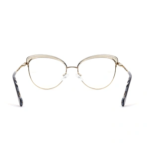 Own Brand Fashionable Business Eyeglasses Eye Frames for Optical Glasses