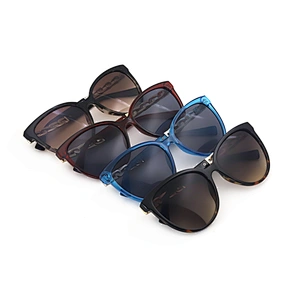 New Products Manifold Custom Wholesale Pc Frame Plastic Sunglass Lenze Plate