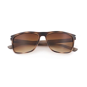 2020 Retro Fashion Classic Style Promotional Uv400 Mens Plastic Frame Sunglasses