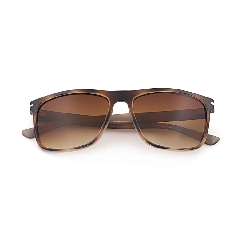 2020 Retro Fashion Classic Style Promotional Uv400 Mens Plastic Frame Sunglasses