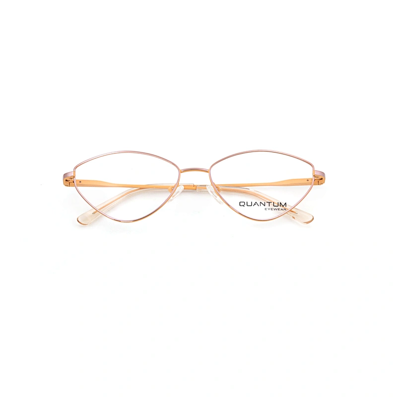 New Designs Various Prescription Optical Woman Eye Glasses Frame