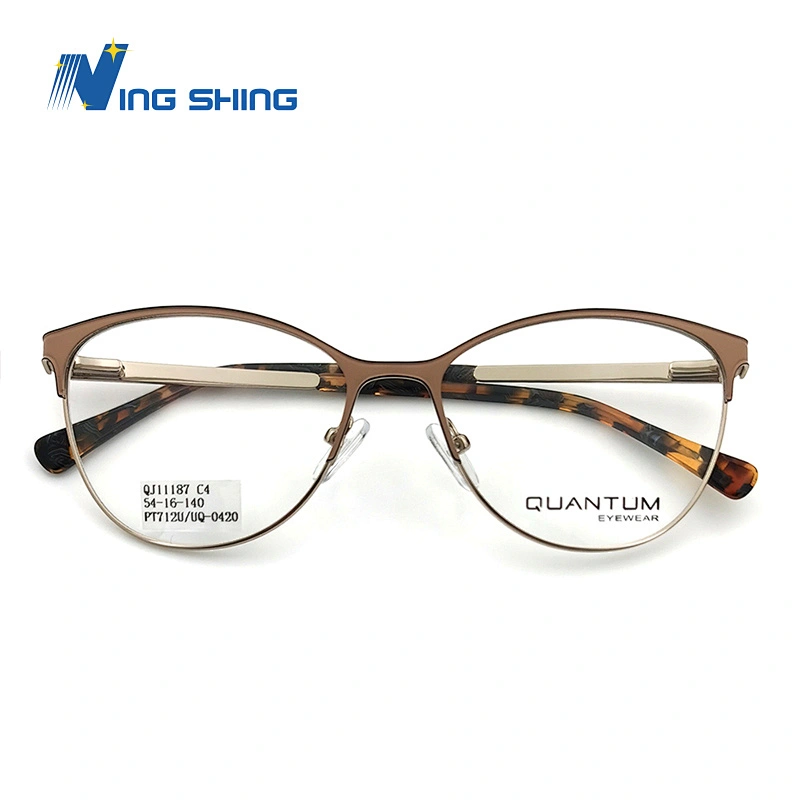 2019 NEW design eyewear Fine lines  spectacle frame  Alloy Carve optical  glasses colorful