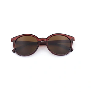 Own Brand Fashionable Mens Clear Frame Oversized Lanse Plate Plastic Sunglass