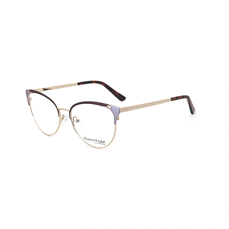 Customized Morden Full Rim Resin Frames Metal Woman Optical Eye Glasses