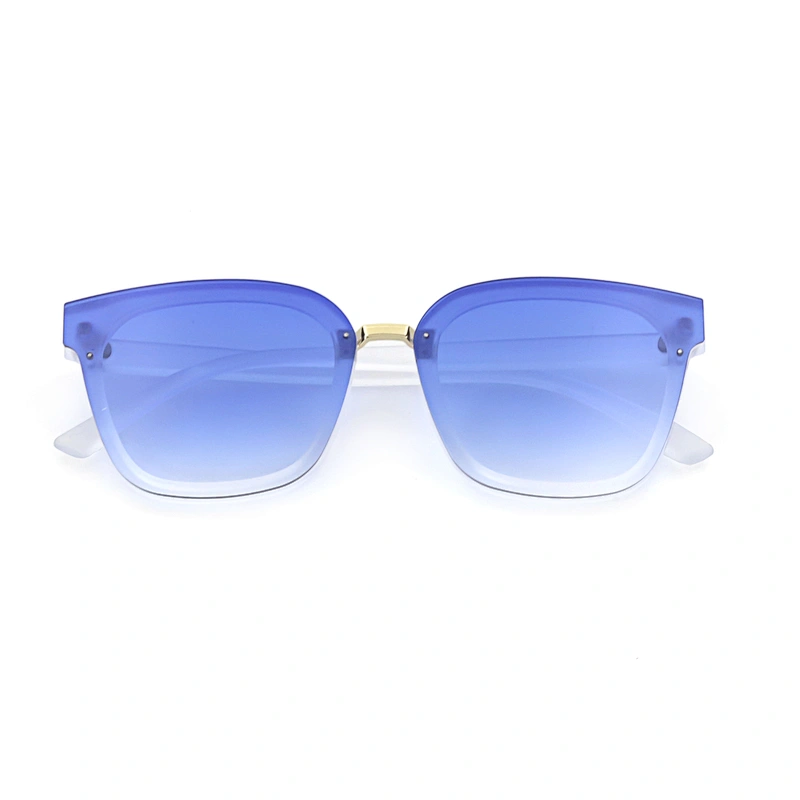 New Products Manifold Custom Wholesale Retro Pc Oversized Eco Thick Plastic Sunglasses