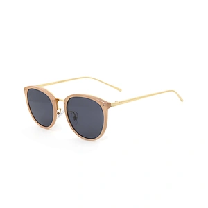 Wholesale Man Pc Cheap Mirror Sun Glasses Colourful Plastic Framed Sunglass Lenze Plate