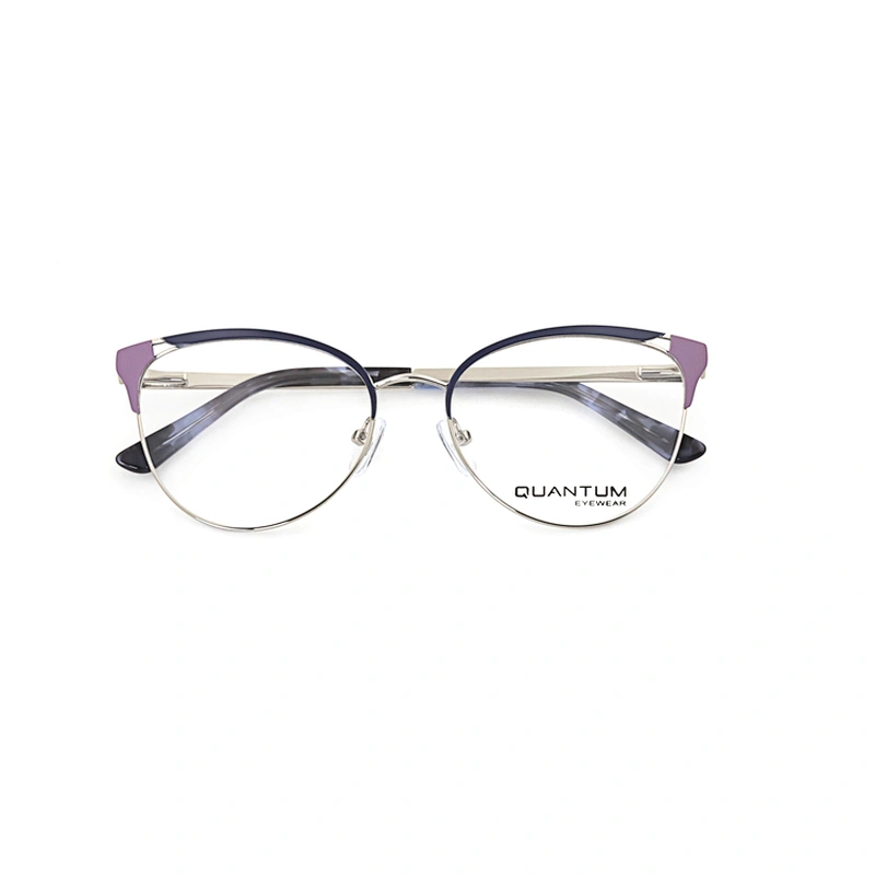 Customized Morden Full Rim Resin Frames Metal Woman Optical Eye Glasses