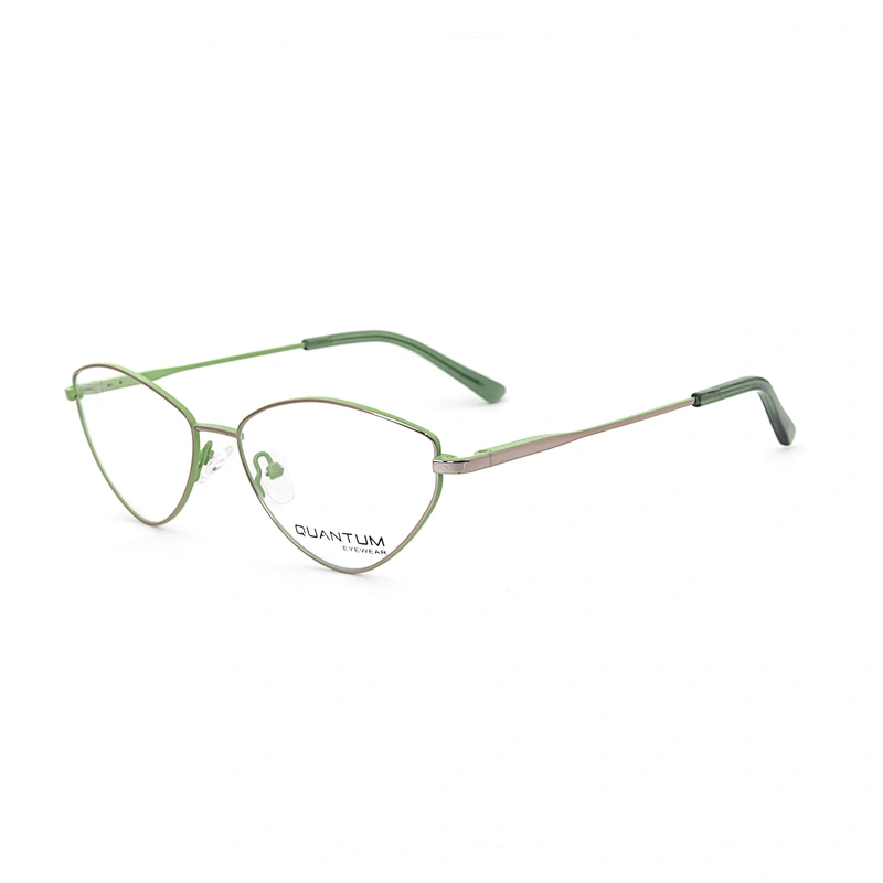 China Supplier Reassure Eyewear Transparency Trendy Optical Frame Glasses