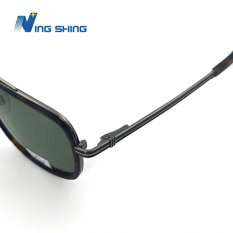 2019 NingShing NewAcetate Sunglasses Frame Glittering cloth Spring Shiny Metal temples Nickle-free Plating Acetate t Custom logo