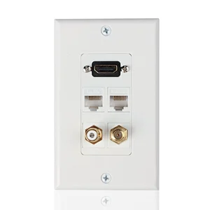 RCA connectorx1--Coaxial Fx1--HDMI femalex1--RJ45 keystone Jackx2