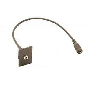 Audio Module