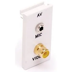 Audio/Video Module