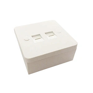 Cat6 Dualport socket with                        32mm back box
