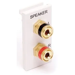 Speaker Module