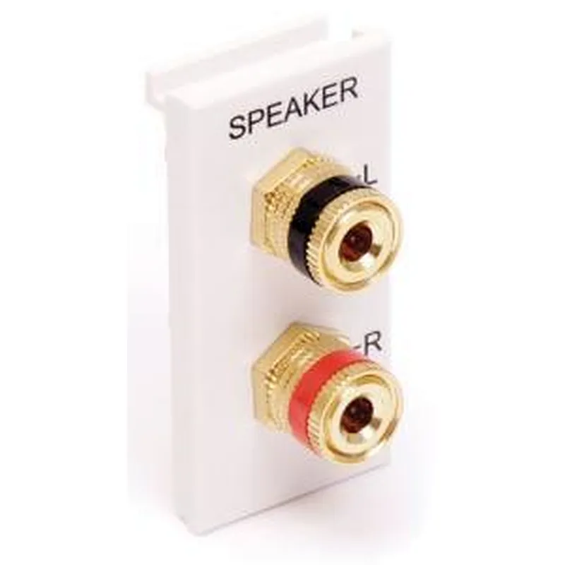 Speaker Module