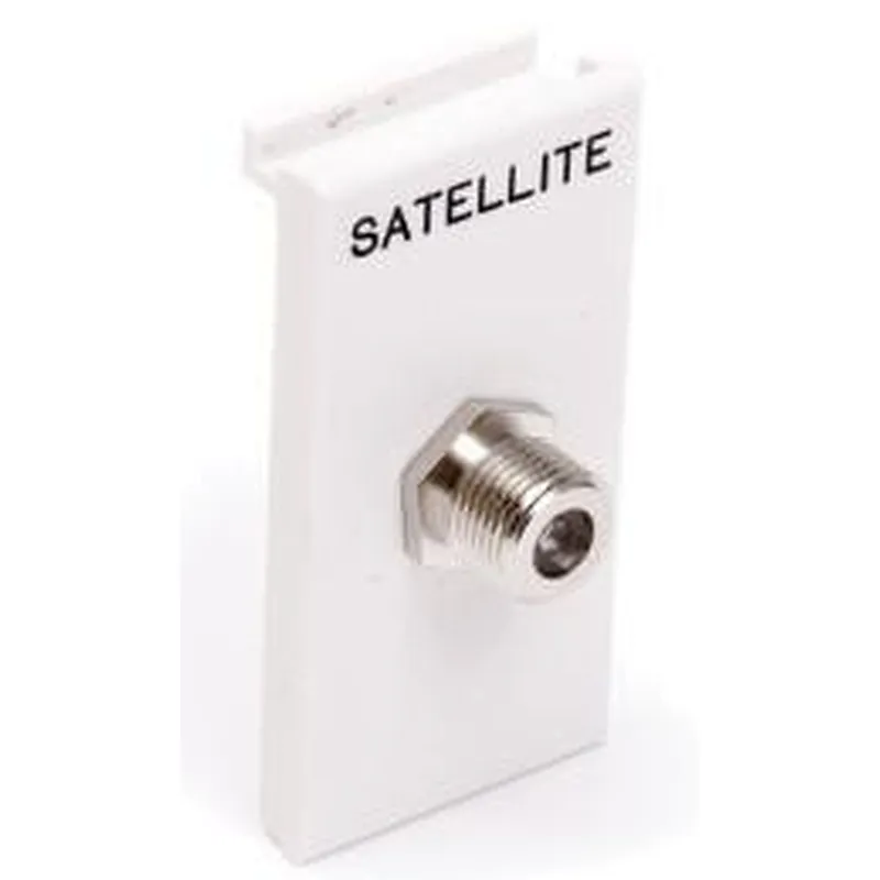 Satellite Module