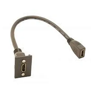 HDMI Module