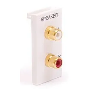 Speaker Module