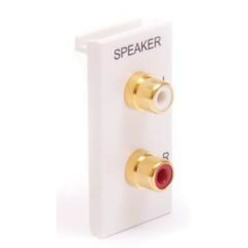 Speaker Module