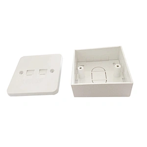 Cat6 Dualport socket with                        32mm back box