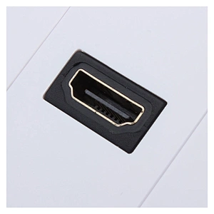 HDMI Femalex1