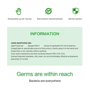500ml Portable Waterless Antiseptic Liquid Hand Sanitizer For Hand Wash
