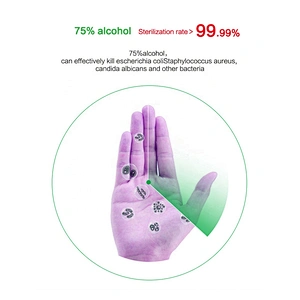 500ml Portable Waterless Antiseptic Liquid Hand Sanitizer For Hand Wash