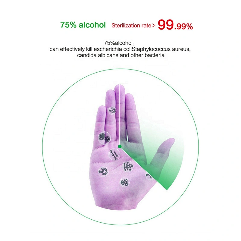500ml Portable Waterless Antiseptic Liquid Hand Sanitizer For Hand Wash