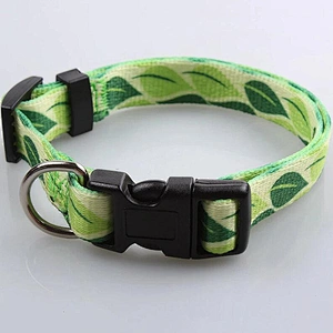 Factory custom Logo printed polyester webbing dog collar with breakaway Buckles