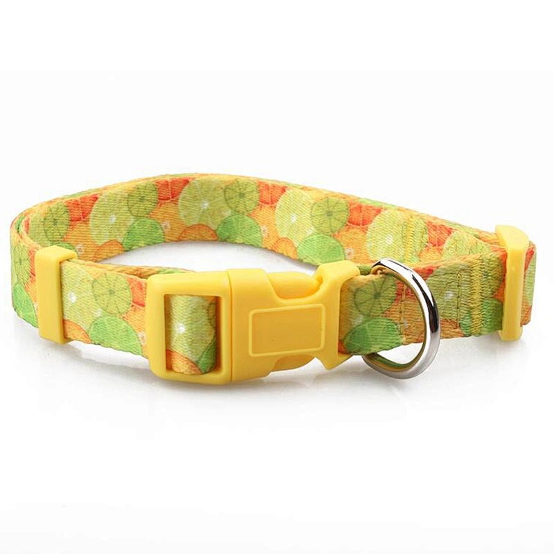 Polyester Webbing Custom Sublimation Logo Pet Collar Led Dog Collar