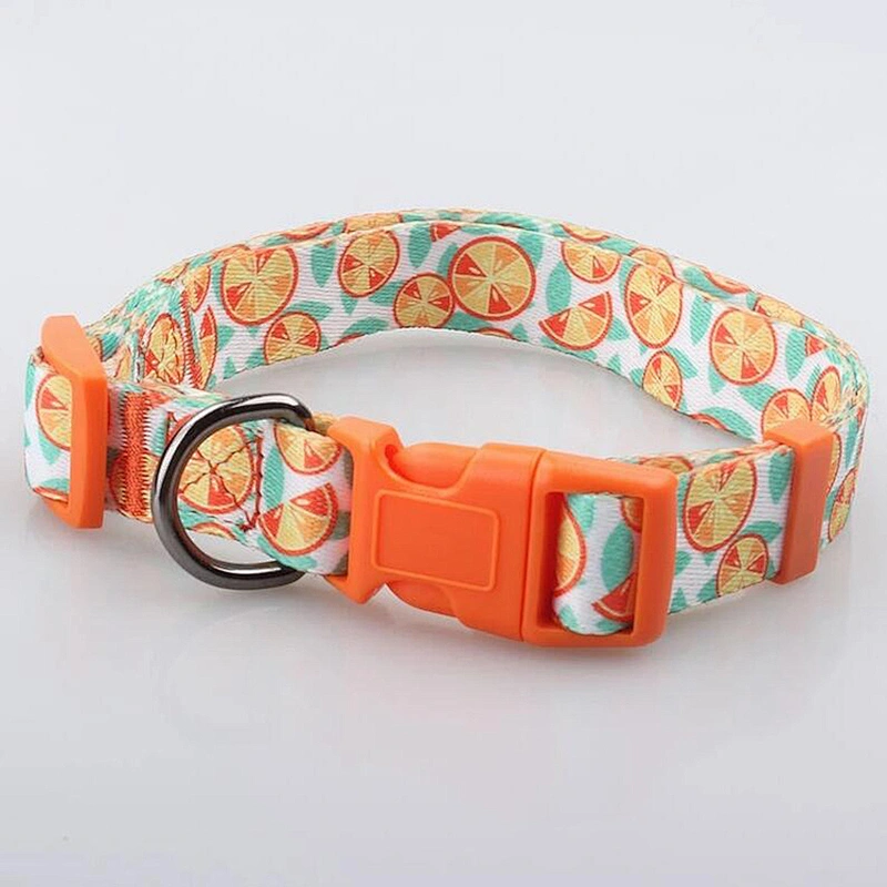 Cheap Personalized diy sublimation printing logo adjustable pet dog collars