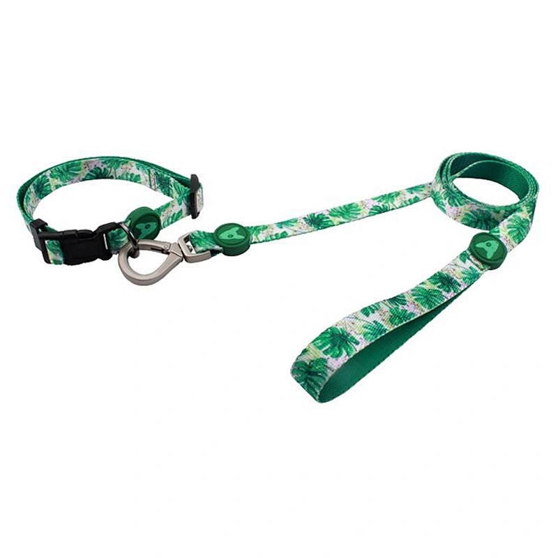 Custom Personalized Sublimation Polyester Pink Pet Collar Matching Dog leash with Print Patterns