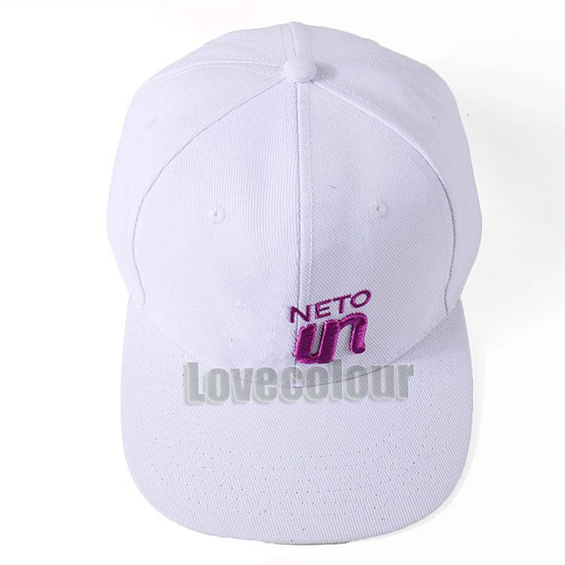 Embroidery custom 100 pcs minimum snapback cap flat brim baseball hat