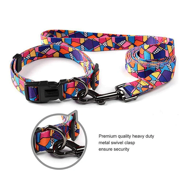Sublimation printing pet dog collar leashes fun patterns dog collar with matching Leash