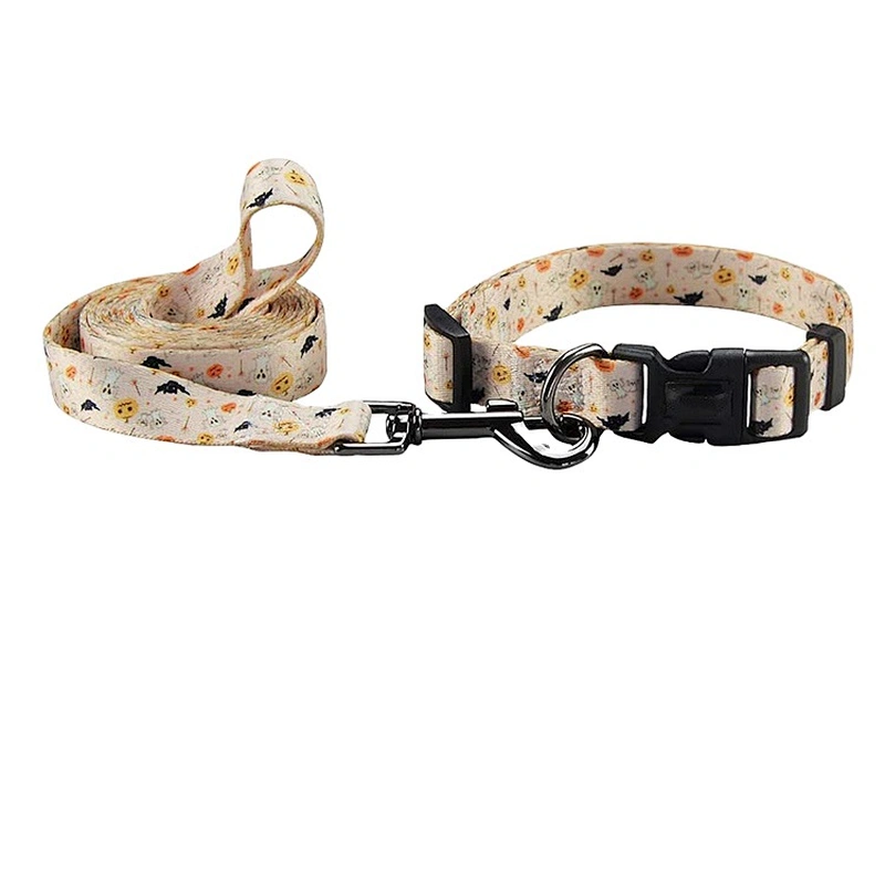 Dog Collar and Leash Combo Safety Set for Daily Outdoor Walking Running