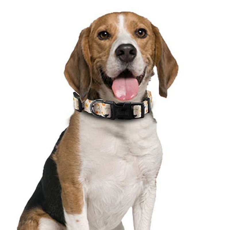 Eco Friendly Recycle Comfortable Polyester Dog Collar with Sublimation Printing