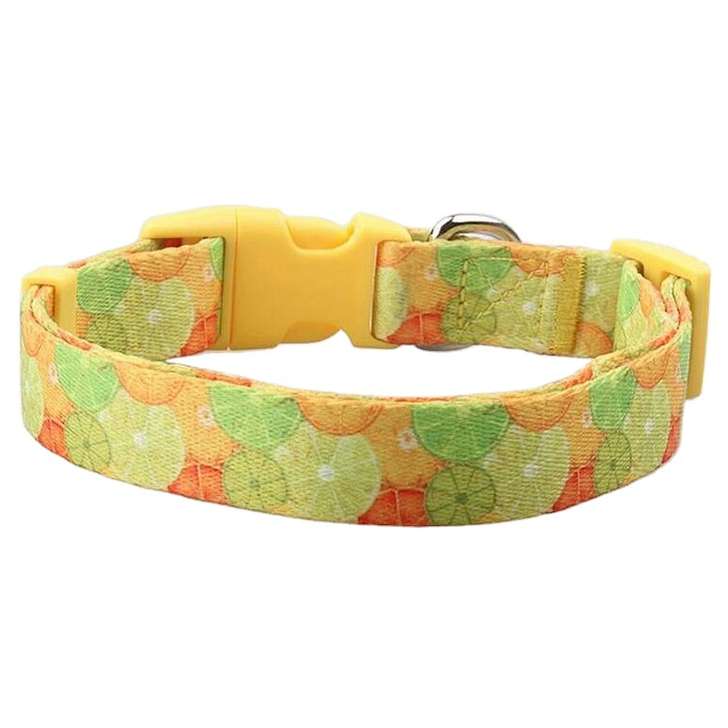 Custom soft and durable polyester webbing sublimation dog collar