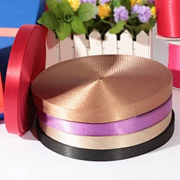 Custom 25mm flat nylon webbing for dog leashes
